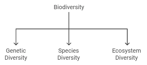 biodiversity