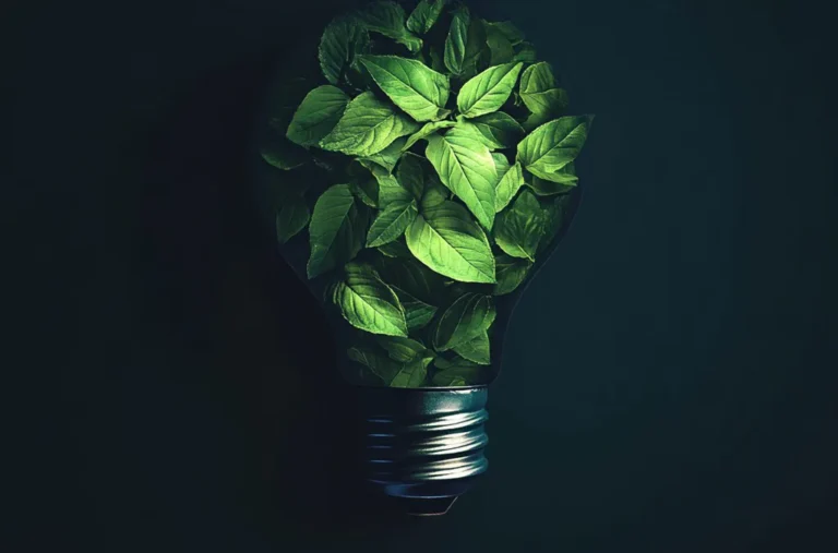 Sustainable solutions