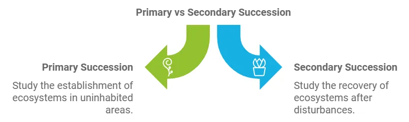 primary vs secondary succession